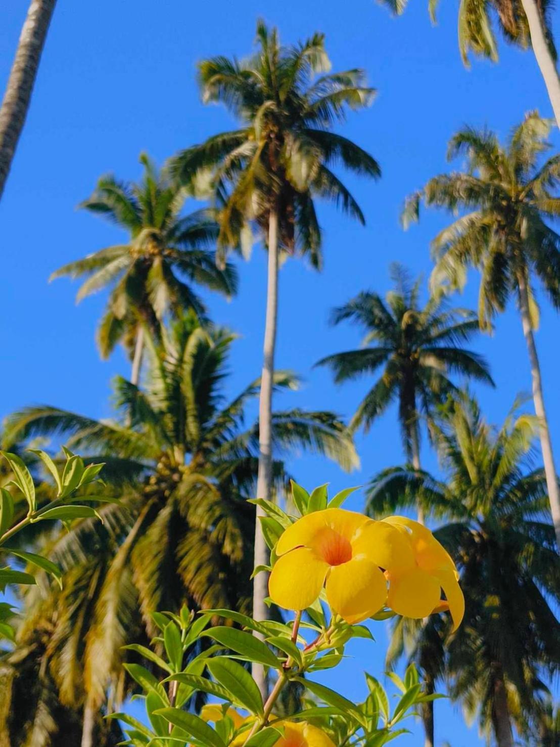 Koh Kood Far East Resort Ko Kut Экстерьер фото